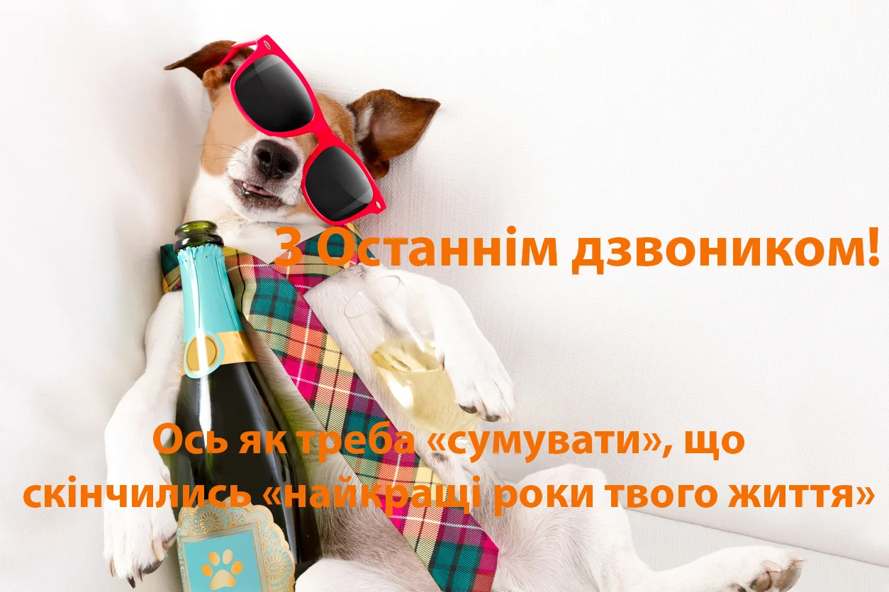 Стильний пес у окулярах та краватці з шампанським для випускників.