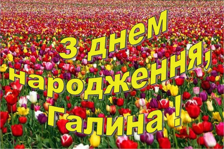 Квіти та привітання з днем народження Галини