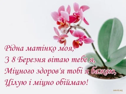 Роза та орхідея з привітанням мамі на 8 Березня.