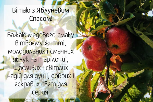 Вітання з Яблучним Спасом та яблука на гілці