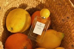 Флакон парфуму серед цитрусових у плетеній кошику