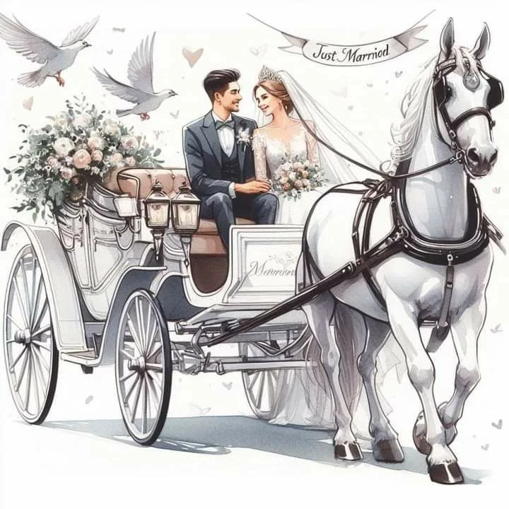 Весільна карета з нареченими та білим конем під банером Just Married.