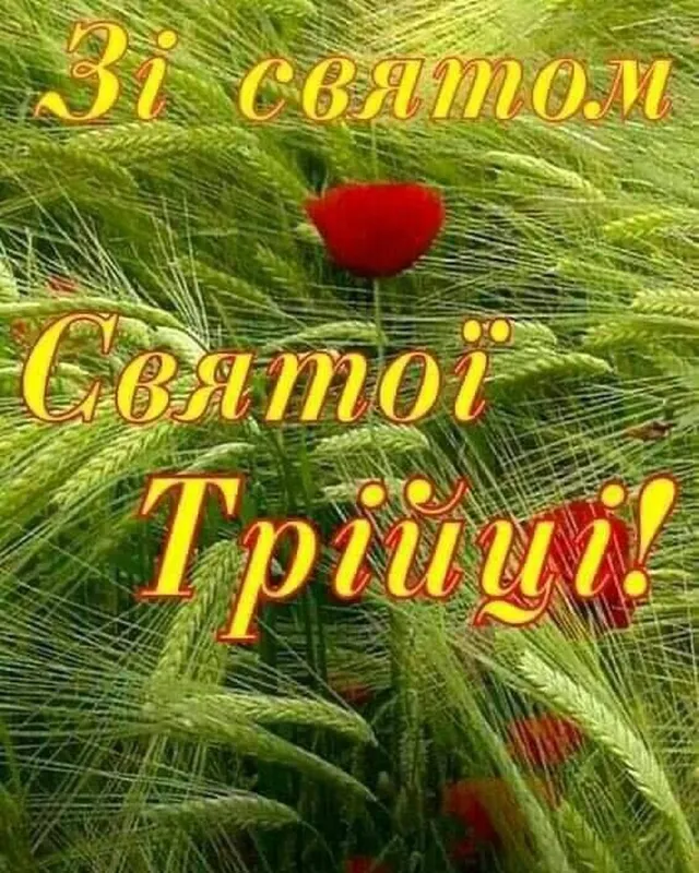 Зі святом Святої Трійці! Поле з пшеницею та маками.